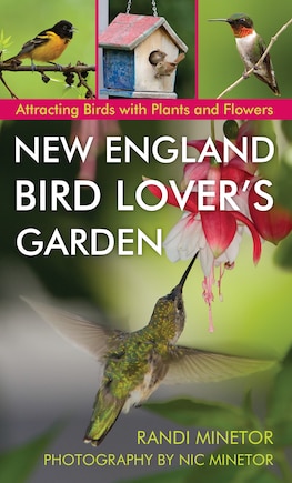 New England Bird Lover's Garden: Attracting Birds With Plants And Flowers