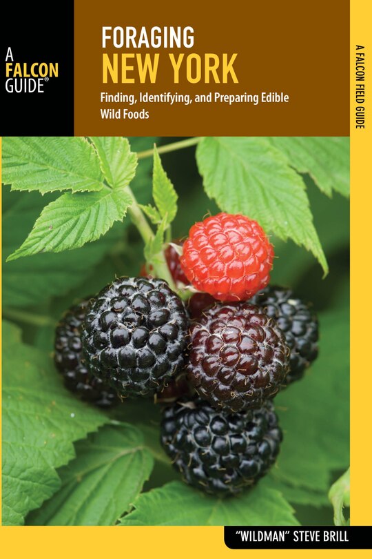 Front cover_Foraging New York