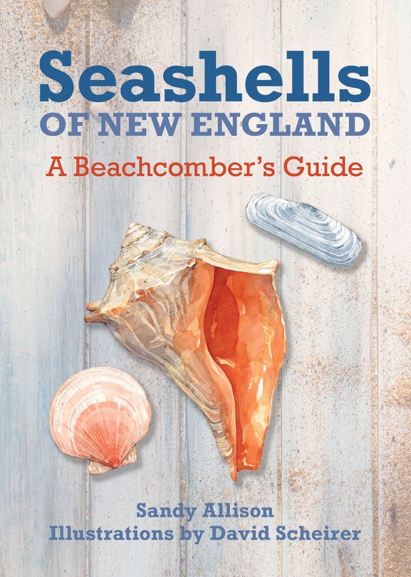 Couverture_Seashells Of New England