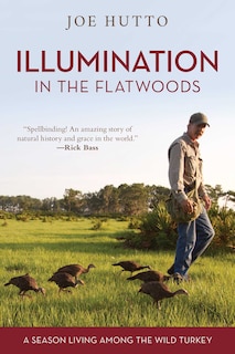 Couverture_Illumination In The Flatwoods