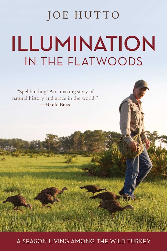 Couverture_Illumination In The Flatwoods