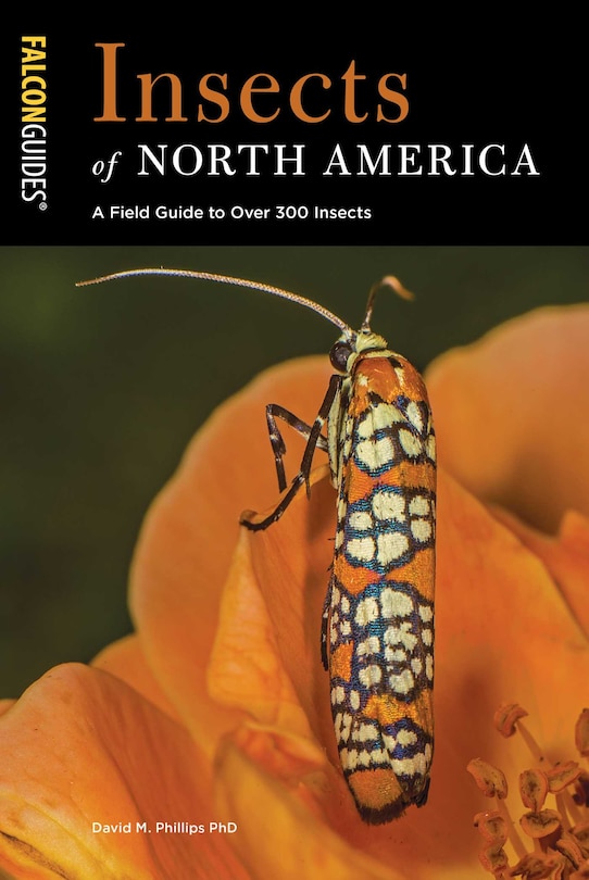 Front cover_Insects Of North America