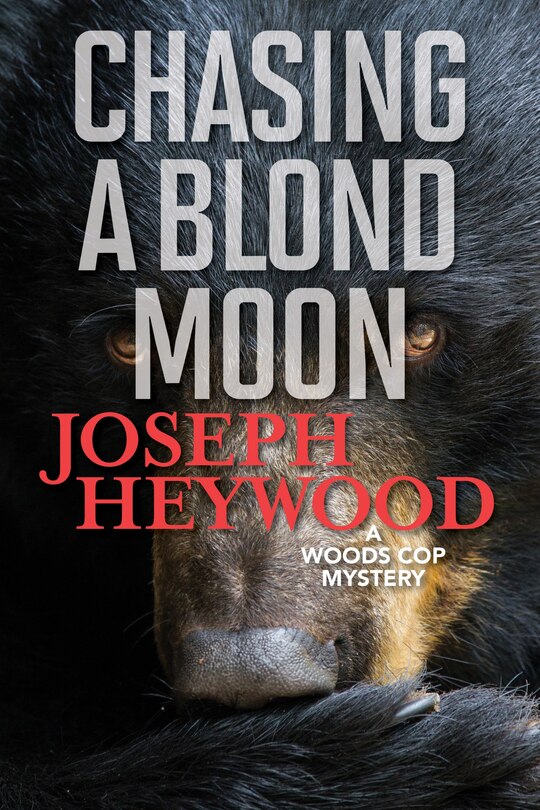 Front cover_Chasing A Blond Moon