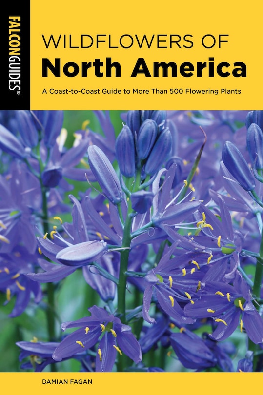 Front cover_Wildflowers of North America