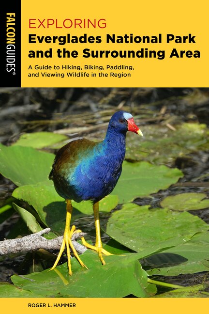 Front cover_Exploring Everglades National Park and the Surrounding Area