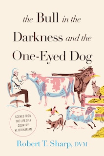 Front cover_The Bull in the Darkness and the One-Eyed Dog