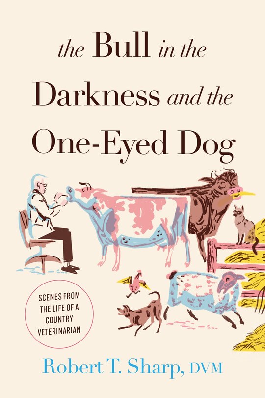 Front cover_The Bull in the Darkness and the One-Eyed Dog