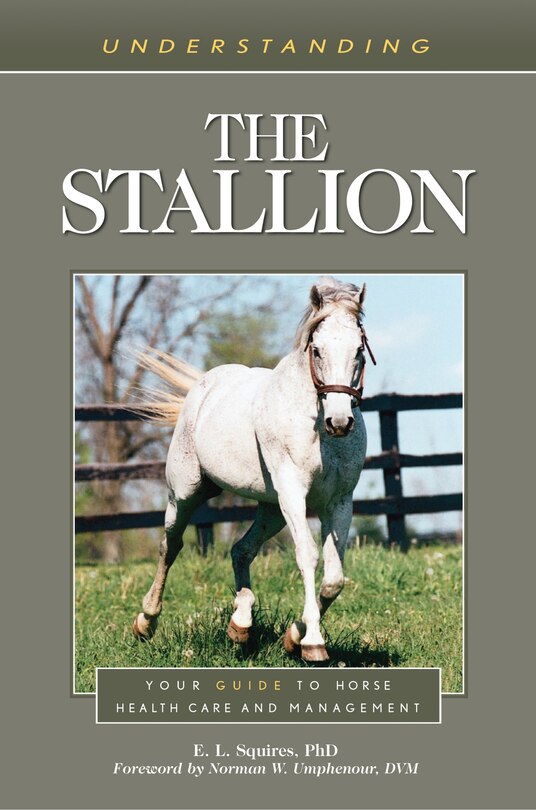 Front cover_Understanding the Stallion