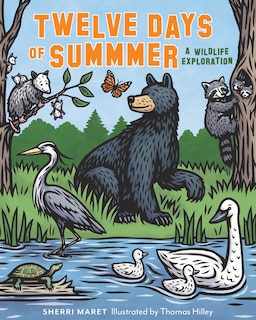 Couverture_Twelve Days of Summer