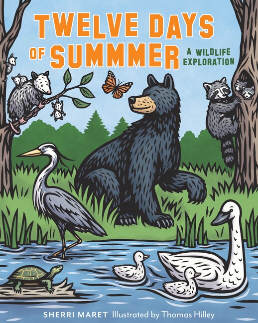 Couverture_Twelve Days of Summer