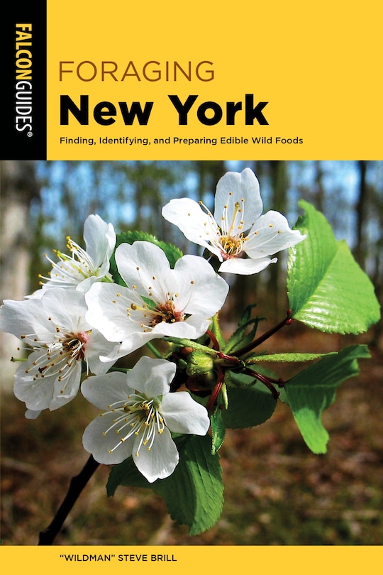 Front cover_Foraging New York