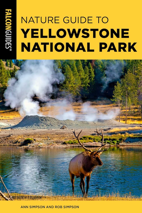 Couverture_Nature Guide to Yellowstone National Park