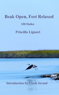 Front cover_Beak Open, Feet Relaxed