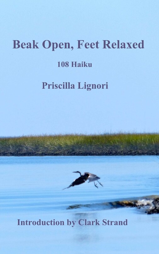 Front cover_Beak Open, Feet Relaxed