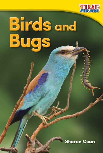 Front cover_Birds and Bugs