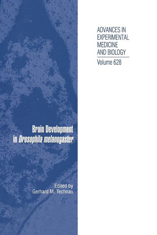 Couverture_Brain Development In Drosophila Melanogaster