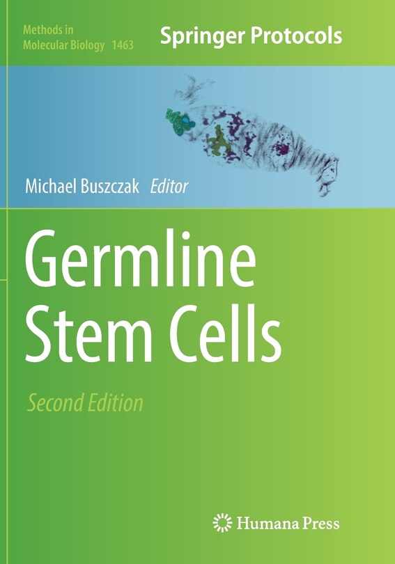 Couverture_Germline Stem Cells