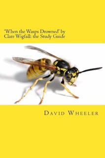 Front cover_'When the Wasps Drowned' by Clare Wigfall