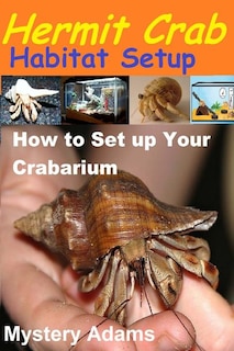 Hermit Crab Habitat Setup: Hermit Crab care and Habitat Set-up