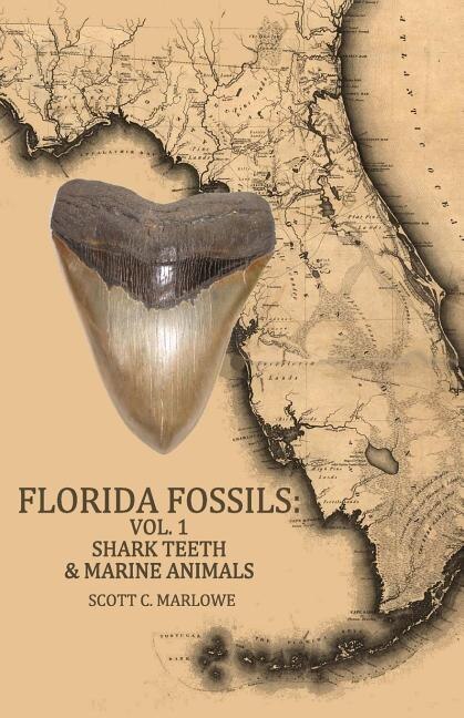 Couverture_Florida Fossils