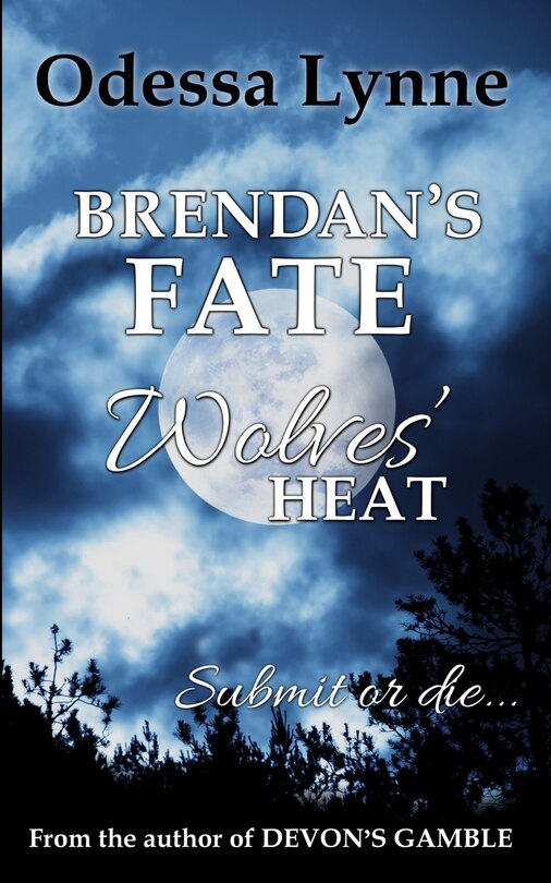Front cover_Brendan's Fate