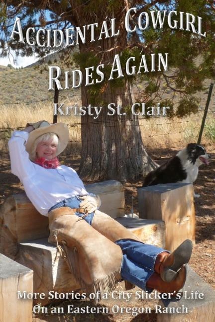 Front cover_Accidental Cowgirl Rides Again