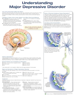 Couverture_Understanding Major Depressive Disorder