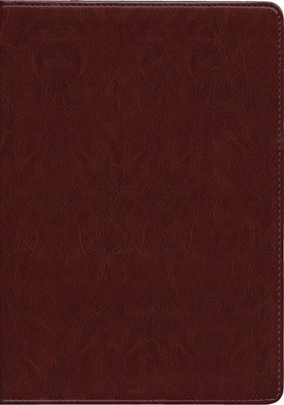 Kjv Life Application Study Bible, Second Edition, Large Print (red Letter, Leatherlike, Brown)