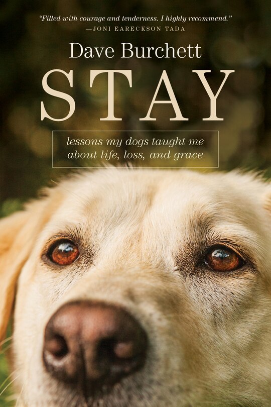 Front cover_Stay