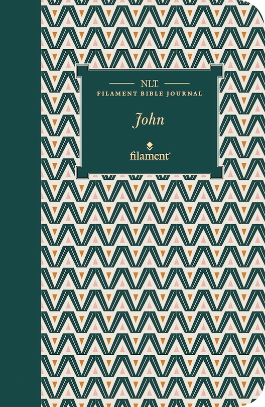 Front cover_Nlt Filament Bible Journal: John (softcover)