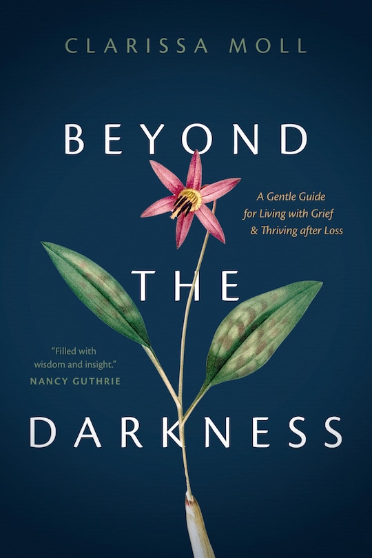 Front cover_Beyond the Darkness