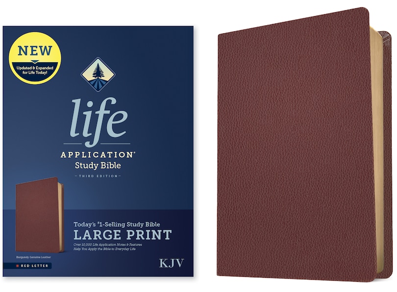 Couverture_KJV Life Application Study Bible, Third Edition, Large Print (Genuine Leather, Burgundy, Red Letter)