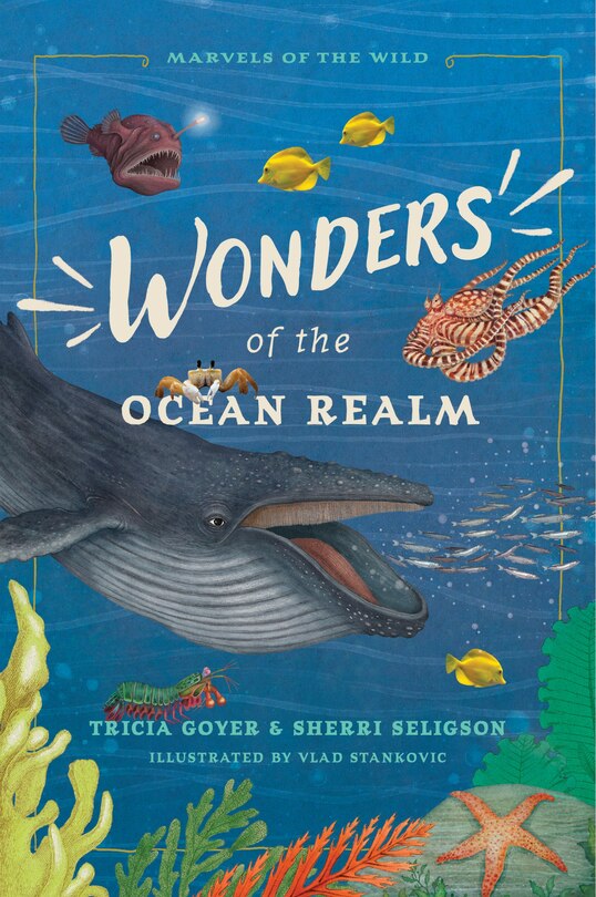 Couverture_Wonders of the Ocean Realm