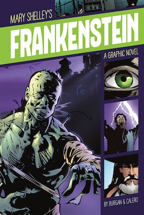 Frankenstein: A Graphic Novel