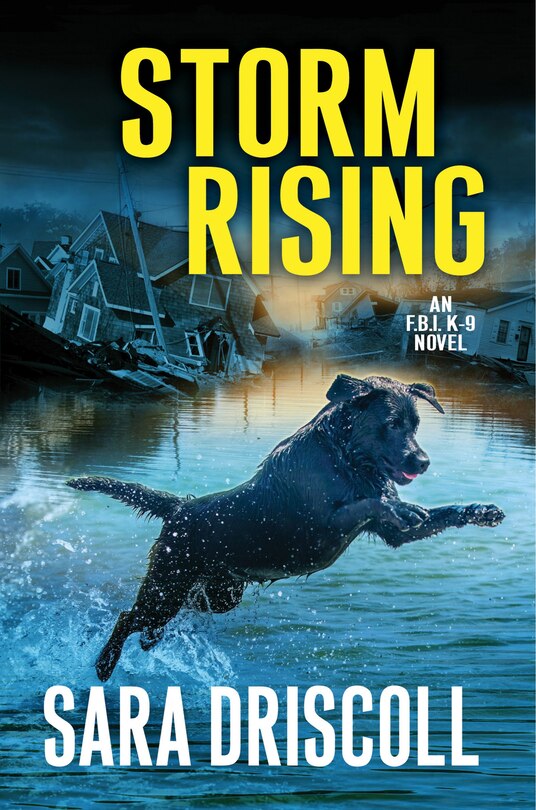 Front cover_Storm Rising