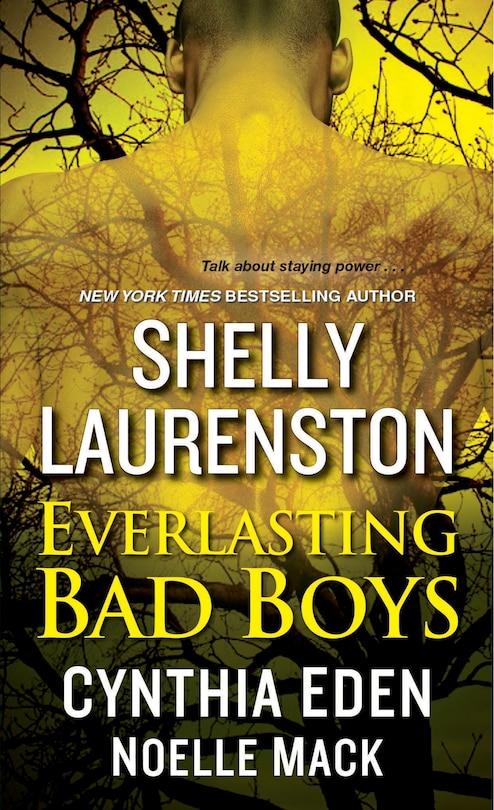 Front cover_Everlasting Bad Boys