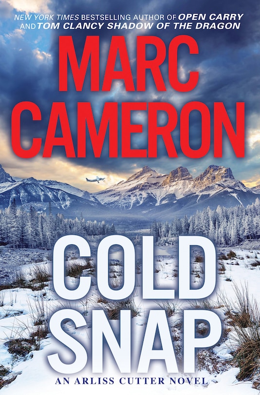 Cold Snap: An Action Packed Novel Of Suspense