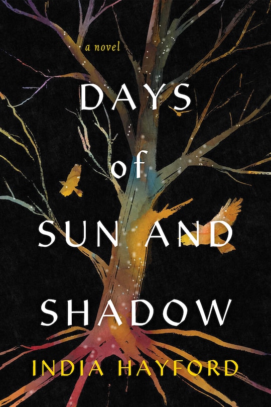 Front cover_Days of Sun and Shadow