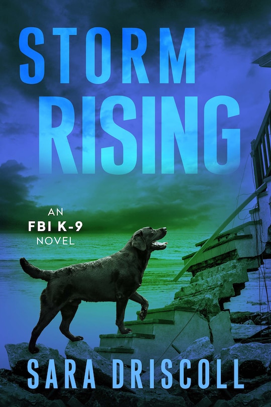 Front cover_Storm Rising