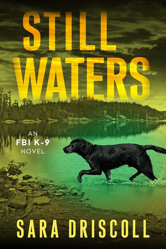 Couverture_Still Waters