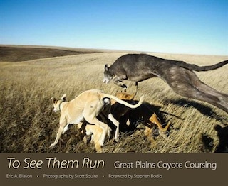 Couverture_To See Them Run
