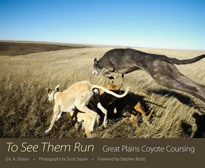 Couverture_To See Them Run