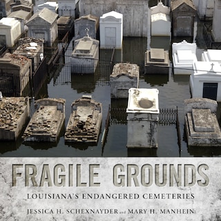 Couverture_Fragile Grounds