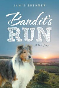 Couverture_Bandit's Run
