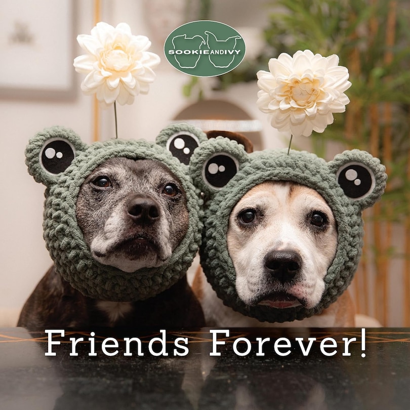 Front cover_Sookie and Ivy Friends Forever!