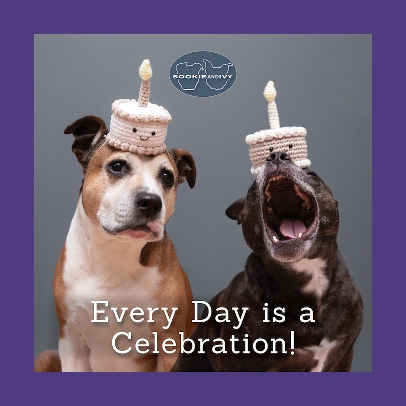 Front cover_Sookie and Ivy Every Day Is a Celebration!