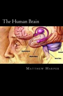 Front cover_The Human Brain