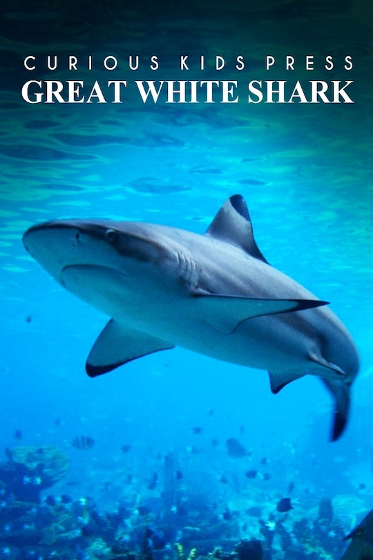 Great White Shark - Curious Kids Press: Kids book about animals and wildlife, Children's books 4-6