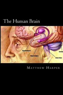 Front cover_The Human Brain
