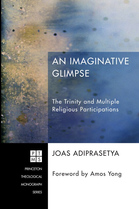 Couverture_An Imaginative Glimpse
